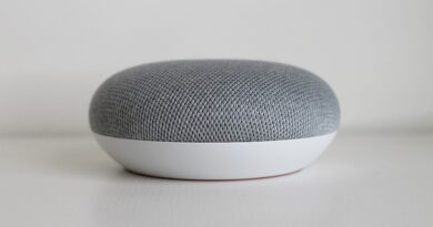 google home