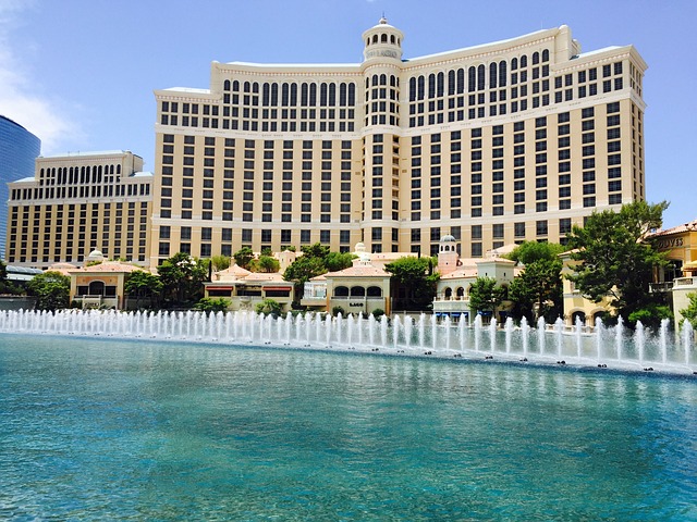las vegas ces convention