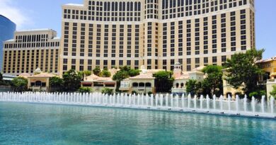 ces las vegas