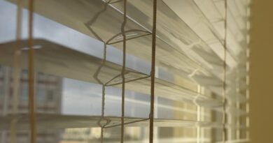 lutron caseta