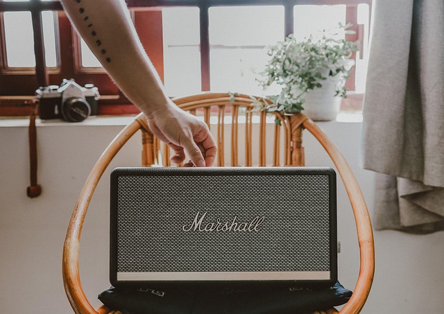 best home speakers for music