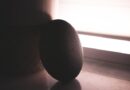 smart home hub