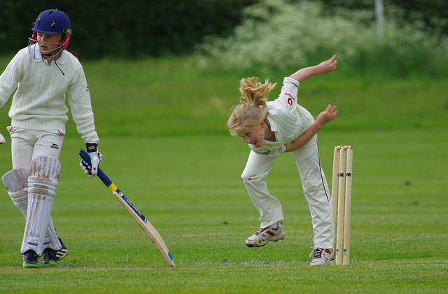 cricket scrapbook machine