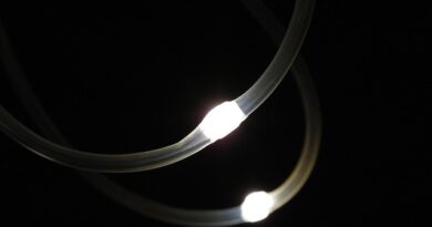 rectifier diode
