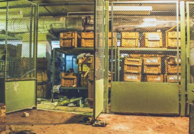 bunker, abandoned, boxes, gas masks, digging, gp-4, gp-5, gp-7, bunker, bunker, bunker, bunker, bunker