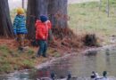 children, feeding, birds, lake, nature, naturally, parka, trees, autumn, reviews