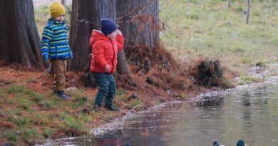 children, feeding, birds, lake, nature, naturally, parka, trees, autumn, reviews
