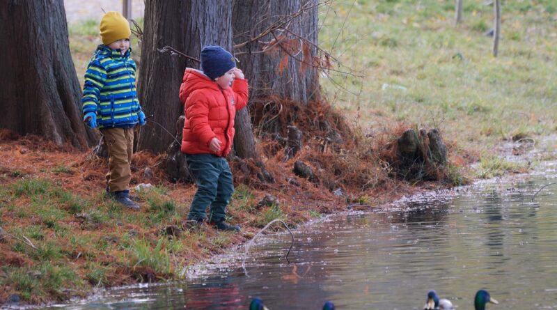 children, feeding, birds, lake, nature, naturally, parka, trees, autumn, reviews