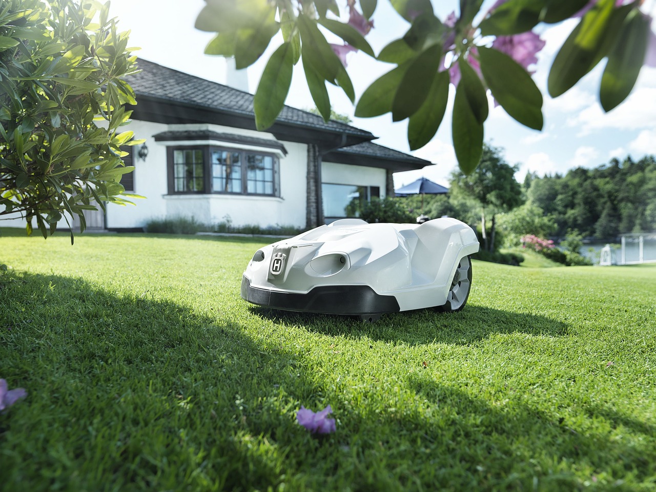 garden, garden shop, home garden, lawn, lawn mower, lawnmower, robot, robot lawnmower, green home, green shopping, green robot, nature, green shop