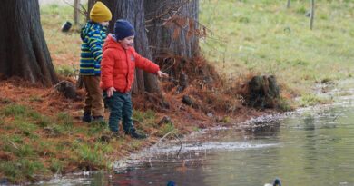 children, feeding, birds, lake, nature, parka, naturally, trees, autumn, reviews