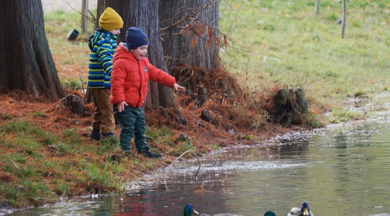 children, feeding, birds, lake, nature, parka, naturally, trees, autumn, reviews