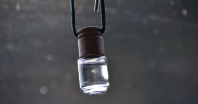 car freshener, air freshener, hanging diffuser, car freshener, car freshener, air freshener, air freshener, air freshener, air freshener, air freshener