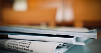 newspapers, weekly, reading, information, paper, article, politics, text, news, article, politics, politics, news, news, news, news, news
