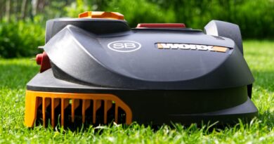 robotic lawnmower, robot, autonomous, mow, grass, lawn mower, garden, lawn, automatically, lawn robot, service robot, gardening, nature, garden maintenance, landscape, green, smart home, smart garden, artificial intelligence, mower, technology, robotic lawnmower, lawn mower, smart home, smart home, artificial intelligence, artificial intelligence, artificial intelligence, artificial intelligence, artificial intelligence