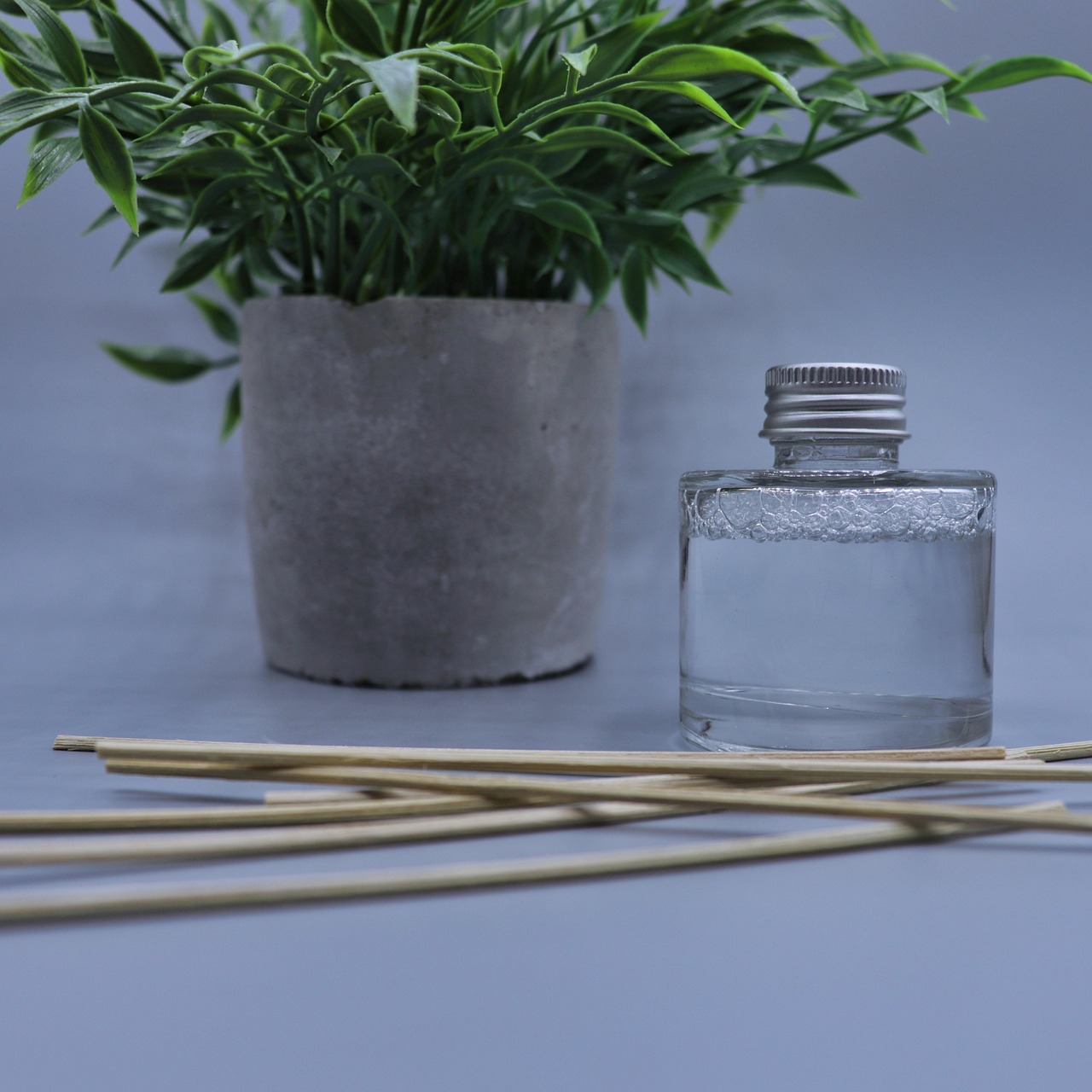 diffuser, plant, reeds, scent, fragrance, clean, spa, aromatherapy, nature, glass, bottle, wood