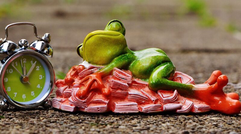time is money, money calms down, sleep, heaps of money, nature, frog, figure, fun, cute, decoration, green, animal