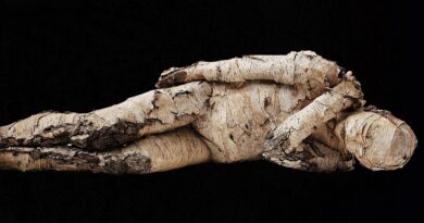 man, tree man, wood, bierke, artwork, art, lie, reclining man, man from tree, man made of wood, isolated, nature, natural wood man, quiet, relax, man, art, art, art, lie, lie, lie, lie, lie