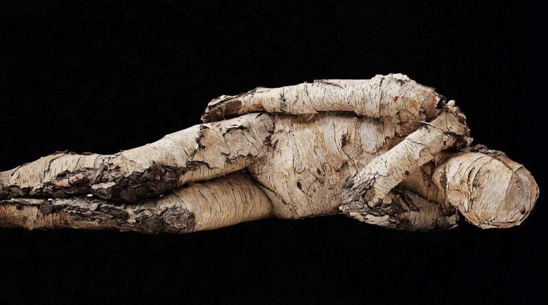 man, tree man, wood, bierke, artwork, art, lie, reclining man, man from tree, man made of wood, isolated, nature, natural wood man, quiet, relax, man, art, art, art, lie, lie, lie, lie, lie