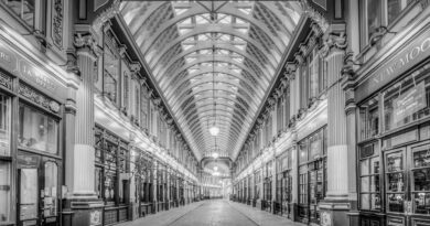 leadenhall market, historic, architecture, english, london, black and white, british, market, ceiling, interior, floor, lamp, shop, column, trading, tourist attraction, victorian, iron structure, business, covered market