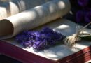 book, beautiful flowers, lavender, nature, book pages, flowers, light and shadow, reading, education, flower background, literature, flower wallpaper, patterns, relaxation, creative design, paper, shadow, decoration, fresh, bookbinding, printed text, shading, rest
