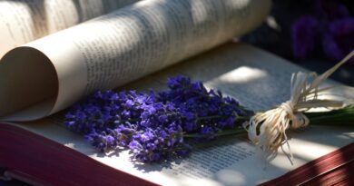 book, beautiful flowers, lavender, nature, book pages, flowers, light and shadow, reading, education, flower background, literature, flower wallpaper, patterns, relaxation, creative design, paper, shadow, decoration, fresh, bookbinding, printed text, shading, rest