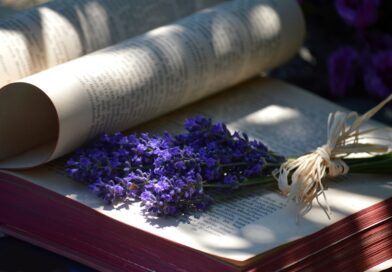 book, beautiful flowers, lavender, nature, book pages, flowers, light and shadow, reading, education, flower background, literature, flower wallpaper, patterns, relaxation, creative design, paper, shadow, decoration, fresh, bookbinding, printed text, shading, rest