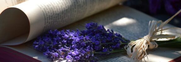 book, beautiful flowers, lavender, nature, book pages, flowers, light and shadow, reading, education, flower background, literature, flower wallpaper, patterns, relaxation, creative design, paper, shadow, decoration, fresh, bookbinding, printed text, shading, rest