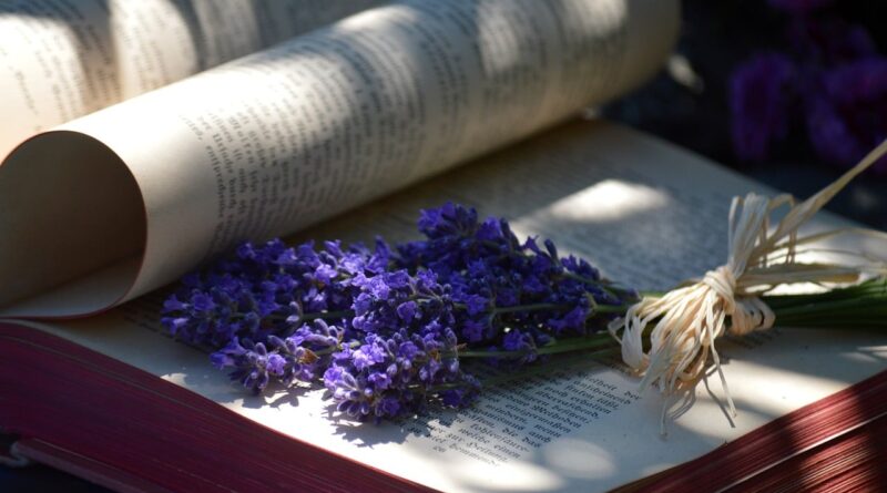 book, beautiful flowers, lavender, nature, book pages, flowers, light and shadow, reading, education, flower background, literature, flower wallpaper, patterns, relaxation, creative design, paper, shadow, decoration, fresh, bookbinding, printed text, shading, rest