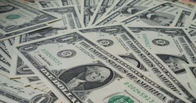 money, dollar, currency, us-dollar, finance, paper money, banknotes, seem, america, money, money, dollar, dollar, dollar, dollar, dollar