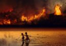 fire, forest fire, children, fear, flames, amazon, rainforest, wilderness, nature, destruction, burn, tree, earth, environment, lung, composing, painting, forest fire, forest fire, forest fire, forest fire, forest fire, amazon, rainforest