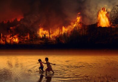 fire, forest fire, children, fear, flames, amazon, rainforest, wilderness, nature, destruction, burn, tree, earth, environment, lung, composing, painting, forest fire, forest fire, forest fire, forest fire, forest fire, amazon, rainforest