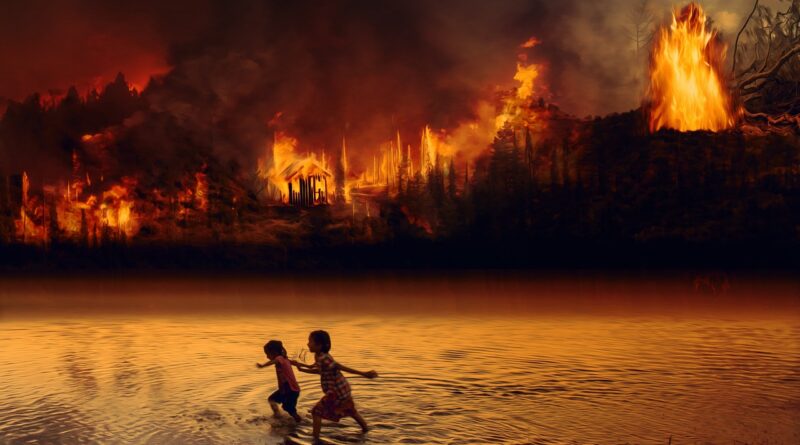 fire, forest fire, children, fear, flames, amazon, rainforest, wilderness, nature, destruction, burn, tree, earth, environment, lung, composing, painting, forest fire, forest fire, forest fire, forest fire, forest fire, amazon, rainforest