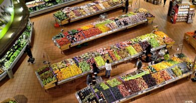 supermarket, stalls, coolers, market, food, fresh, shop, organic, vegetable, healthy, grocery, store, fruit, ripe, yellow, freshness, marketplace, hypermarket, colorful, stand, consumer, nutrition, brown food, brown shopping, brown vegetables, brown healthy, brown shop, brown fruits, brown grocery, brown color, brown nutrition, brown groceries, brown market, supermarket, supermarket, supermarket, supermarket, supermarket, market, market, market, food, shop, grocery, grocery, store