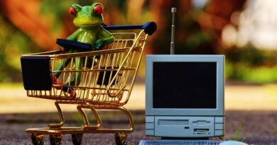 online shopping, shopping venture, shopping, purchasing, sweets, shopping cart, trolley, grocery list, food, list, frog, shopping trolleys, supermarket, transport, shopping basket, bikes, metal, business, online, order, christmas shopping, fun, christmas, online shopping, online shopping, online shopping, online shopping, online shopping, shopping cart