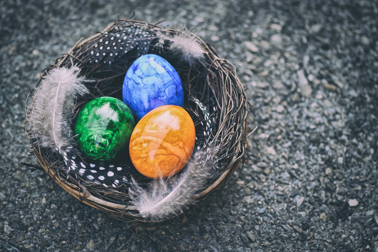easter eggs, easter nest, easter, decoration, nature, easter festival, spring, easter theme, cute, easter decoration, deco, easter greetings, coloured, bird nest, nest, multicoloured, colored, colorful eggs