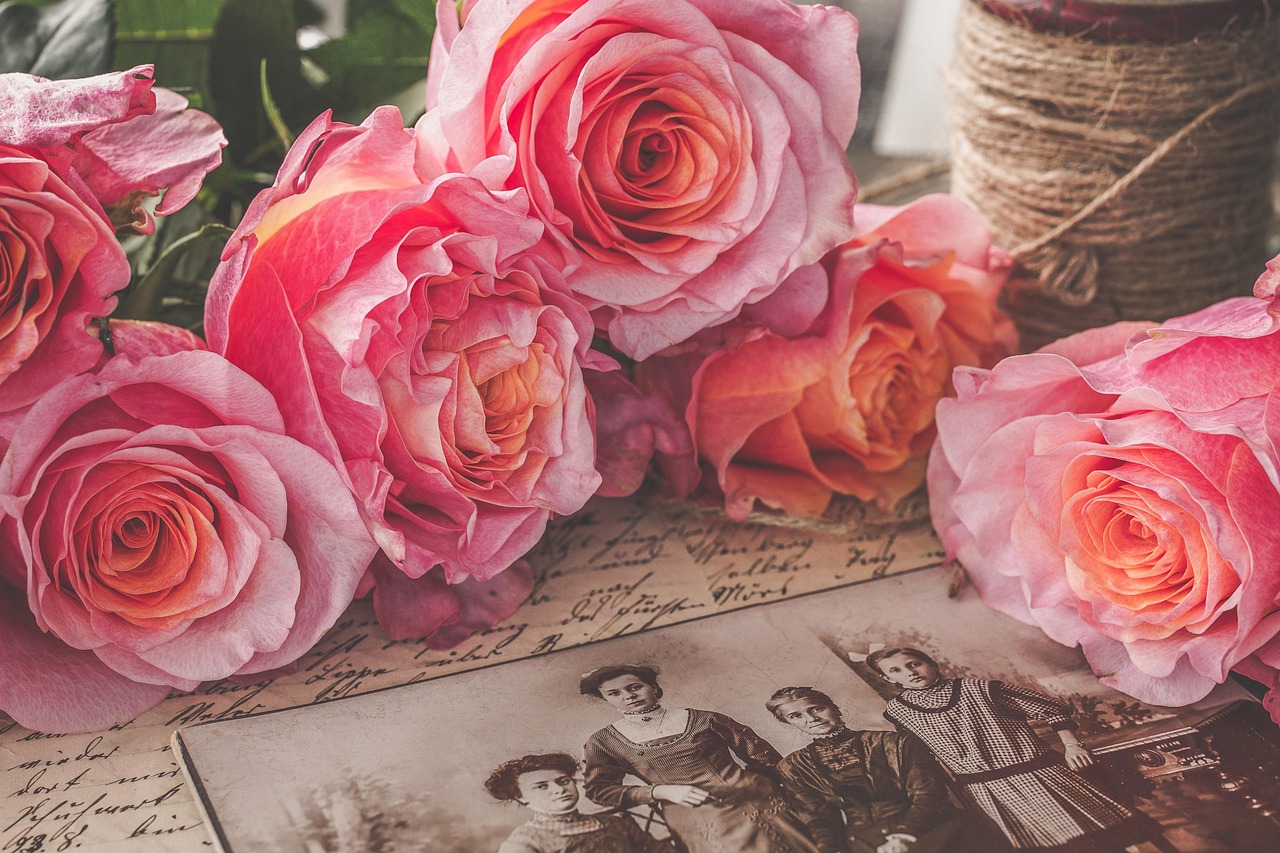 nostalgia, retro, vintage, roses, pink, contemporary witnesses, write, photos, style, charm, photography, back then, memories, review, family history, historical, past, family photos, vintage, family history, family history, family history, family history, family history
