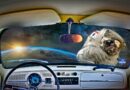eclipse, space, vw, spaceman, earth, happy, dash, steering wheel, eclipse, eclipse, eclipse, spaceman, spaceman, spaceman, spaceman, spaceman, dash
