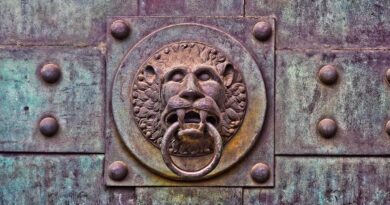 lion head, door knocker, door, gate, metal, ornament, door handle, wrought iron, door, door, door, door, door, gate, metal, metal