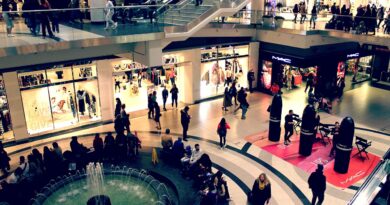 mall, shop, establishment, mountain, people, man, woman, shopping, nature, building, structure