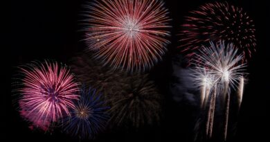 fireworks, sky, night sky, nature, new year, new year's eve, pyrotechnics, fireworks show, fireworks display, party, celebration, colorful, firecracker, night, evening