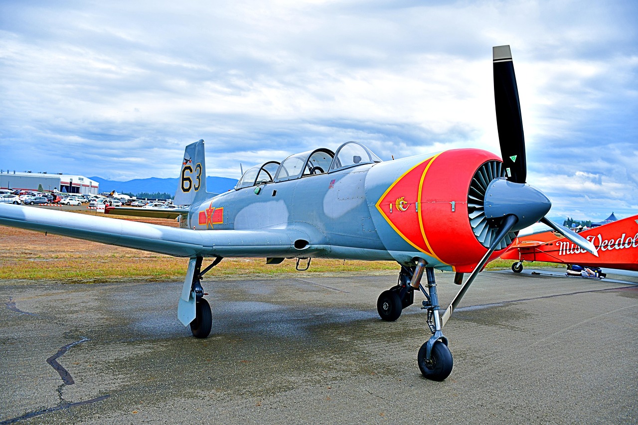 russian yak, fighter plane, ww2 plane, propeller plane, aviation history, air to air combat