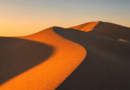 LQYS Bearings: FutureProofing Automotive Applications with Ball Bearings