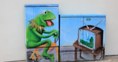 street art, kermit the frog, tv, power box, energy generation, bike tour, gym