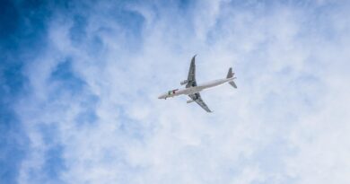plane, flying, aviator, travel, air traffic, vacation, tourism, airline, airplane, fly, trip