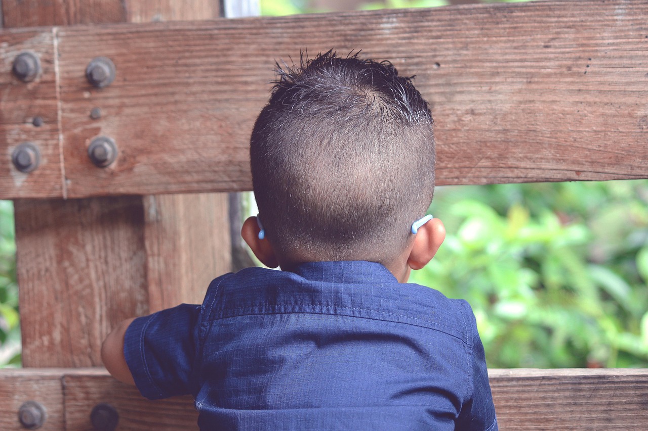 boy, kid, child, childhood, little, cute, baby, preschooler, school, preschool, children, happy kids, preschool, preschool, preschool, preschool, preschool